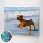 Kép egy tacskóról.