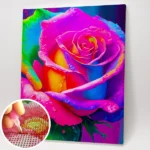 Csodaszép rózsa kirakós.