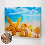 Tengeri csillag kép.